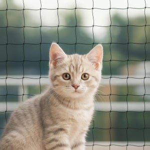 Cómo preparar un hogar a prueba de gatos: la ventana, el punto más importante