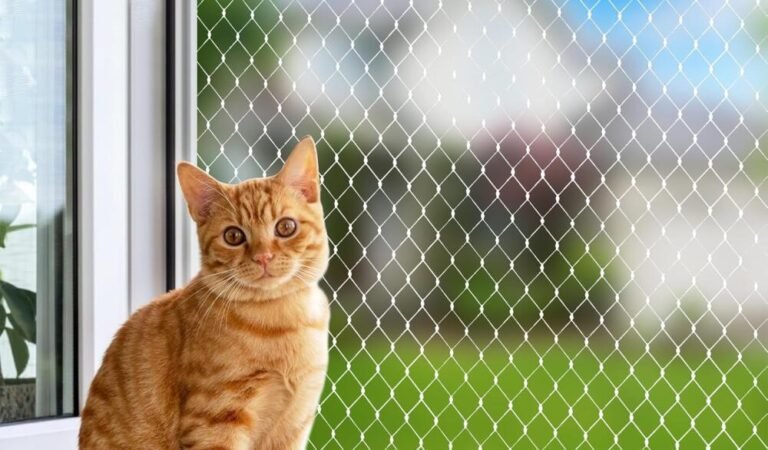 Gatos y ventanas: cómo disfrutar del aire libre sin poner en riesgo a tu mascota
